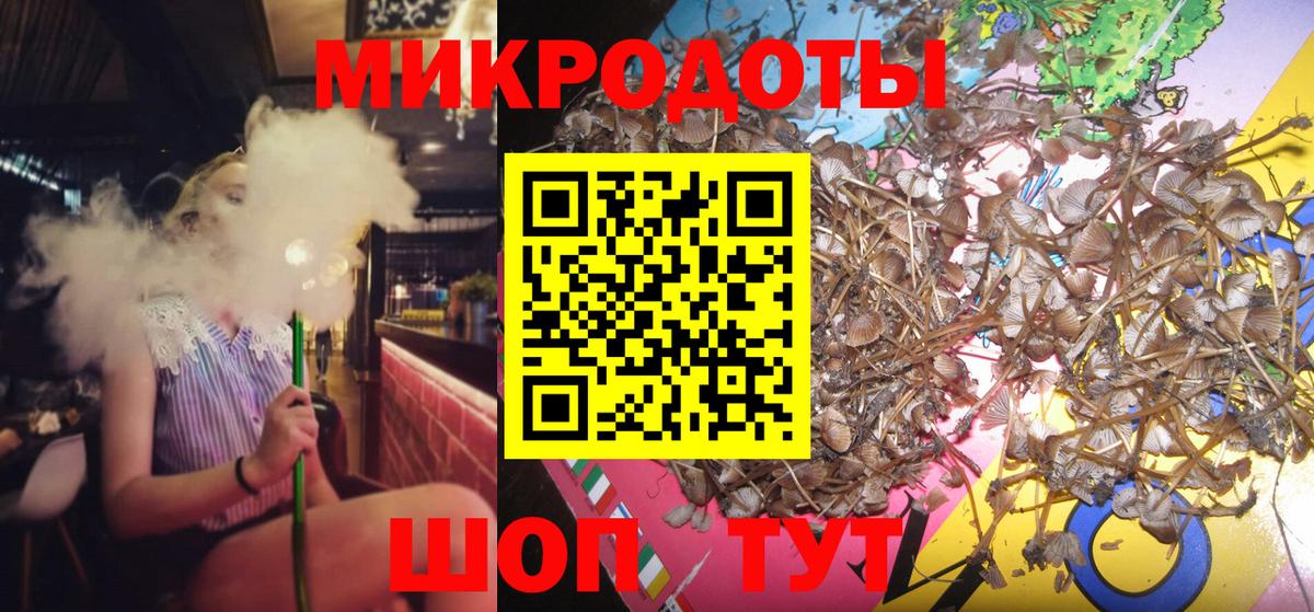 Шелехов  Галлюциногенные грибы Psilocybine cubensis  Вход с VPN  Псилоцибиновые грибы Magic Shrooms 
