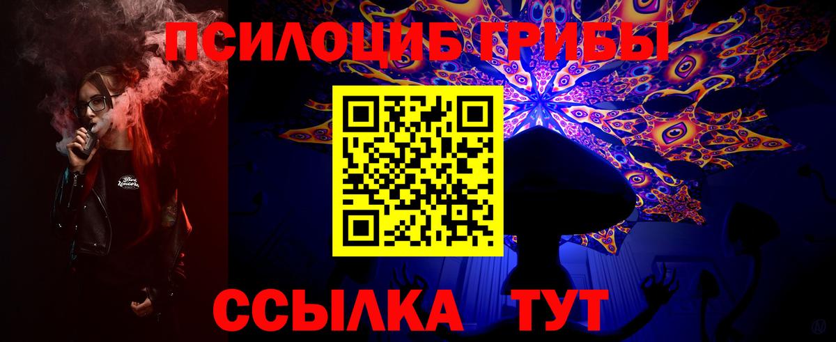 Псилоцибиновые грибы Psilocybine cubensis Шелехов